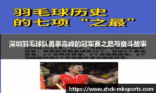 深圳羽毛球队勇攀高峰的冠军赛之路与奋斗故事